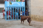 Fiestas Patronales de la pedanía alcorina de Araya