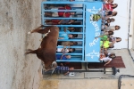 Fiestas Patronales de la pedanía alcorina de Araya
