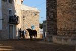 Fiestas Patronales de la pedanía alcorina de Araya