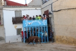 Fiestas Patronales de la pedanía alcorina de Araya