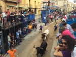 Primer dia de toros cerriles en el recinto de 170 cadafales y Homenaje del Club Taurino a la Reina y Damas y Mujer Taurina
