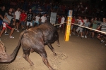 Burriana vibra con el encierro de toros embolados