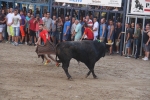 Burriana vibra con el encierro de toros embolados