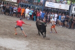 Burriana vibra con el encierro de toros embolados