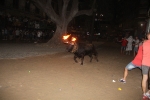 Burriana vibra con el encierro de toros embolados