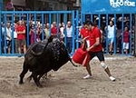 Burriana vibra con el encierro de toros embolados