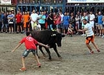 Burriana vibra con el encierro de toros embolados