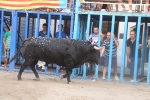 Burriana vibra con el encierro de toros embolados