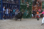 Recta final taurina de la Misericòrdia