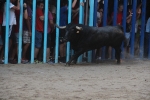 Recta final taurina de la Misericòrdia