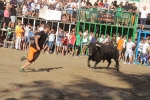 Recta final taurina de la Misericòrdia