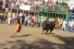 Recta final taurina de la Misericòrdia