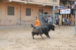 Vila-real vive una gran jornada taurina final