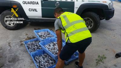 La Guardia Civil se ha incautado de 53 Kilos de merluza inmadura en el puerto de Castelln 