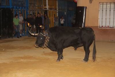 Fotografia /Galeria/2016/9/148124_83455/2_M1.jpg