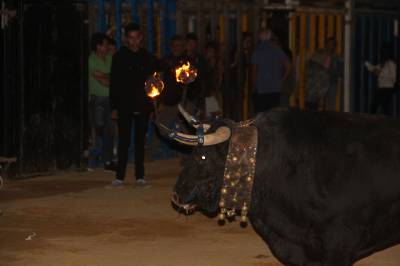 Fotografia /Galeria/2016/9/148124_83455/3_M1.jpg