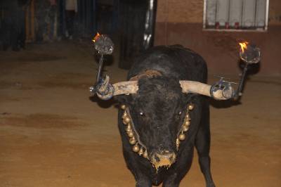 Fotografia /Galeria/2016/9/148124_83455/4_M1.jpg