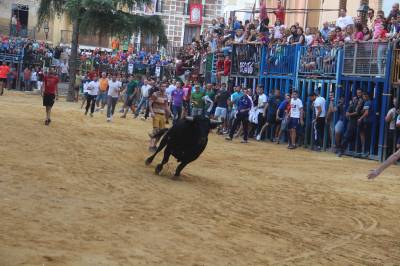 Fotografia /Galeria/2016/9/148306_83593/3_M1.jpg