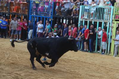 Fotografia /Galeria/2016/9/148306_83593/5_M1.jpg