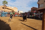 Xilxes lidia el penúltimo toro cerril de las fiestas