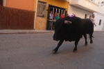 Xilxes lidia el penúltimo toro cerril de las fiestas