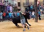 Betxí cierra el capítulo taurino con dos espectaculares toros