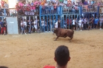 Betxí cierra el capítulo taurino con dos espectaculares toros