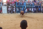 Betxí cierra el capítulo taurino con dos espectaculares toros