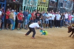 Betxí cierra el capítulo taurino con dos espectaculares toros