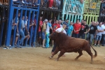 Betxí cierra el capítulo taurino con dos espectaculares toros