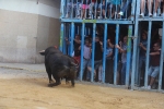 Betxí cierra el capítulo taurino con dos espectaculares toros