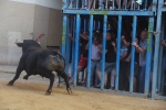 Betxí cierra el capítulo taurino con dos espectaculares toros