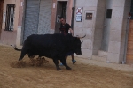 Betxí cierra el capítulo taurino con dos espectaculares toros