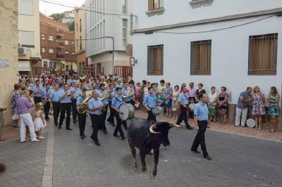 La Vilavella se llena de 'memes' por la vaca que ya lleva 11 das suelta por el monte