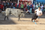 Almenara se llena para disfrutar de las exhibiciones taurinas