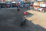 Almenara se llena para disfrutar de las exhibiciones taurinas