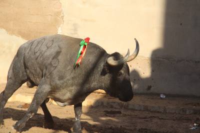 Fotografia /Galeria/2016/9/148444_83708/4_M1.jpg