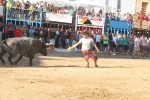 Almenara se llena para disfrutar de las exhibiciones taurinas
