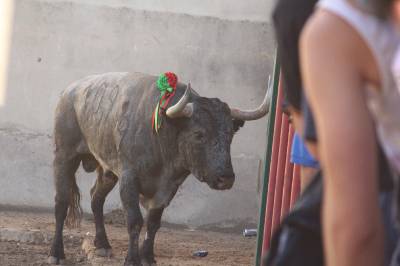 Fotografia /Galeria/2016/9/148444_83708/5_M1.jpg