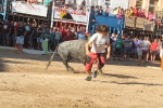 Almenara se llena para disfrutar de las exhibiciones taurinas