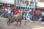 Almenara se llena para disfrutar de las exhibiciones taurinas