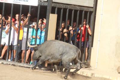 Fotografia /Galeria/2016/9/148444_83708/6_M1.jpg