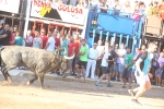 Almenara se llena para disfrutar de las exhibiciones taurinas