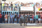 Almenara se llena para disfrutar de las exhibiciones taurinas