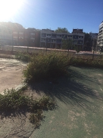 El PP denuncia el 'estado de abandono en el que se encuentra Castellón, con basura en las calles y desperfectos en el mobiliario urbano'
