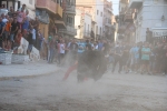 Almenara retoma las exhibiciones taurinas con dos toros de El Montecillo