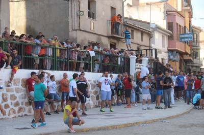 Fotografia /Galeria/2016/9/148594_83819/4_M1.jpg