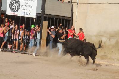 Fotografia /Galeria/2016/9/148594_83819/6_M1.jpg