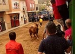 La Sagrada Familia inicia las exhibiciones taurinas con toros de Montalvo y Valdefresno