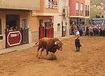 La Sagrada Familia inicia las exhibiciones taurinas con toros de Montalvo y Valdefresno